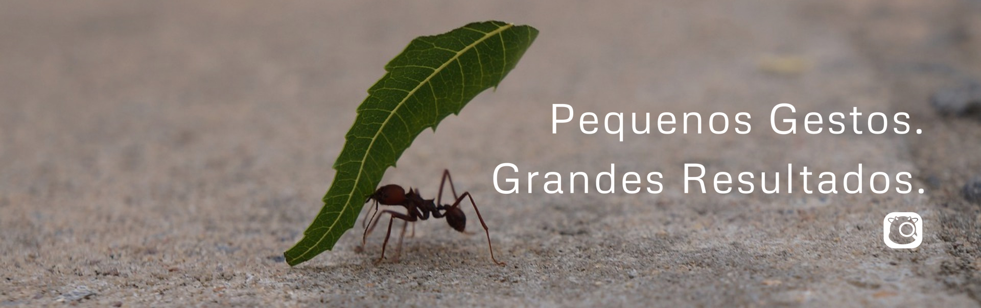 Pequenos gestos, grandes resultados